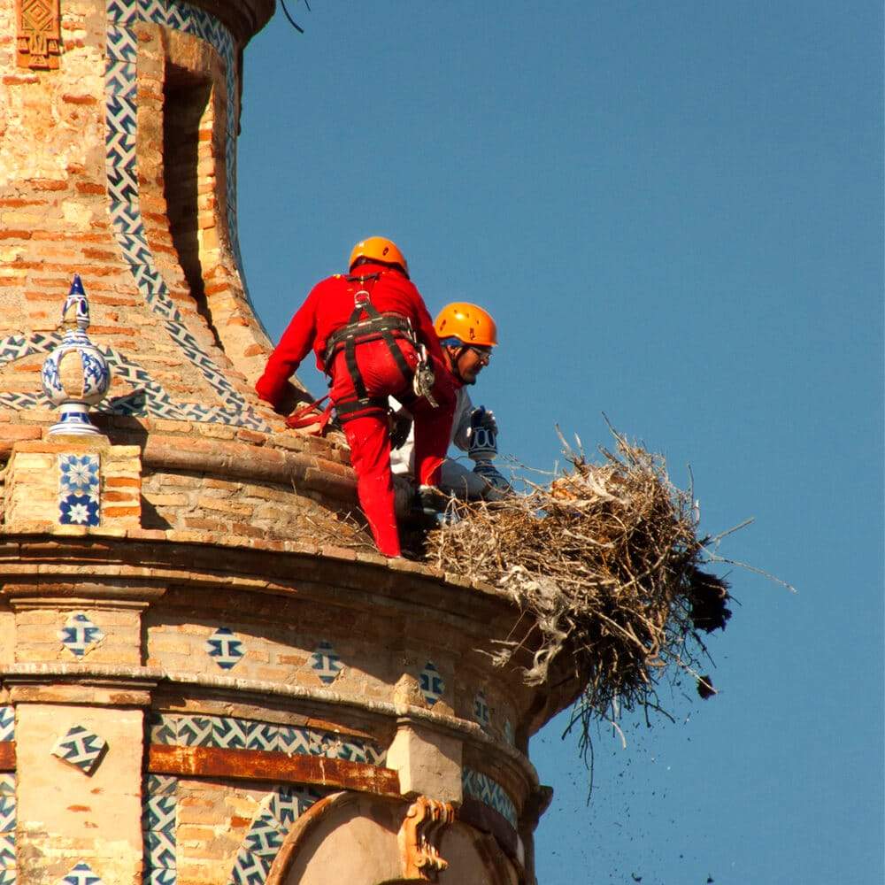 Trabajos Verticales Sevilla Trabajos Verticales Sevilla