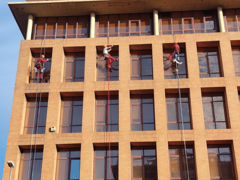 tipos de líneas de vida