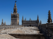mantenimiento catedral sevilla